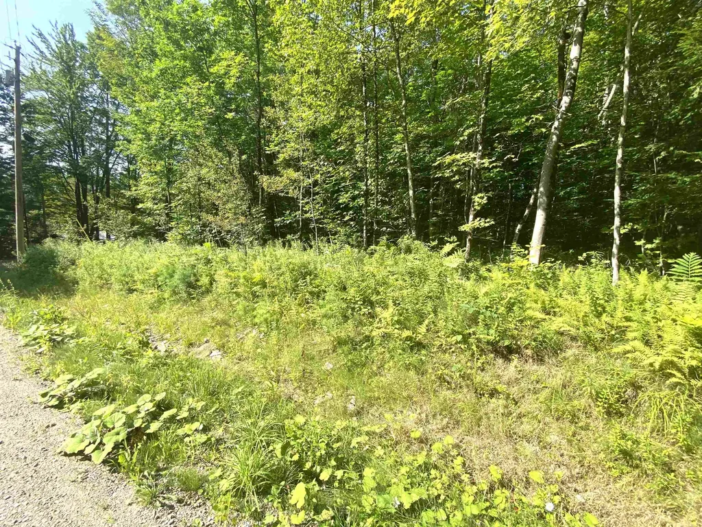 00 North Branch Road Ripton VT 05766