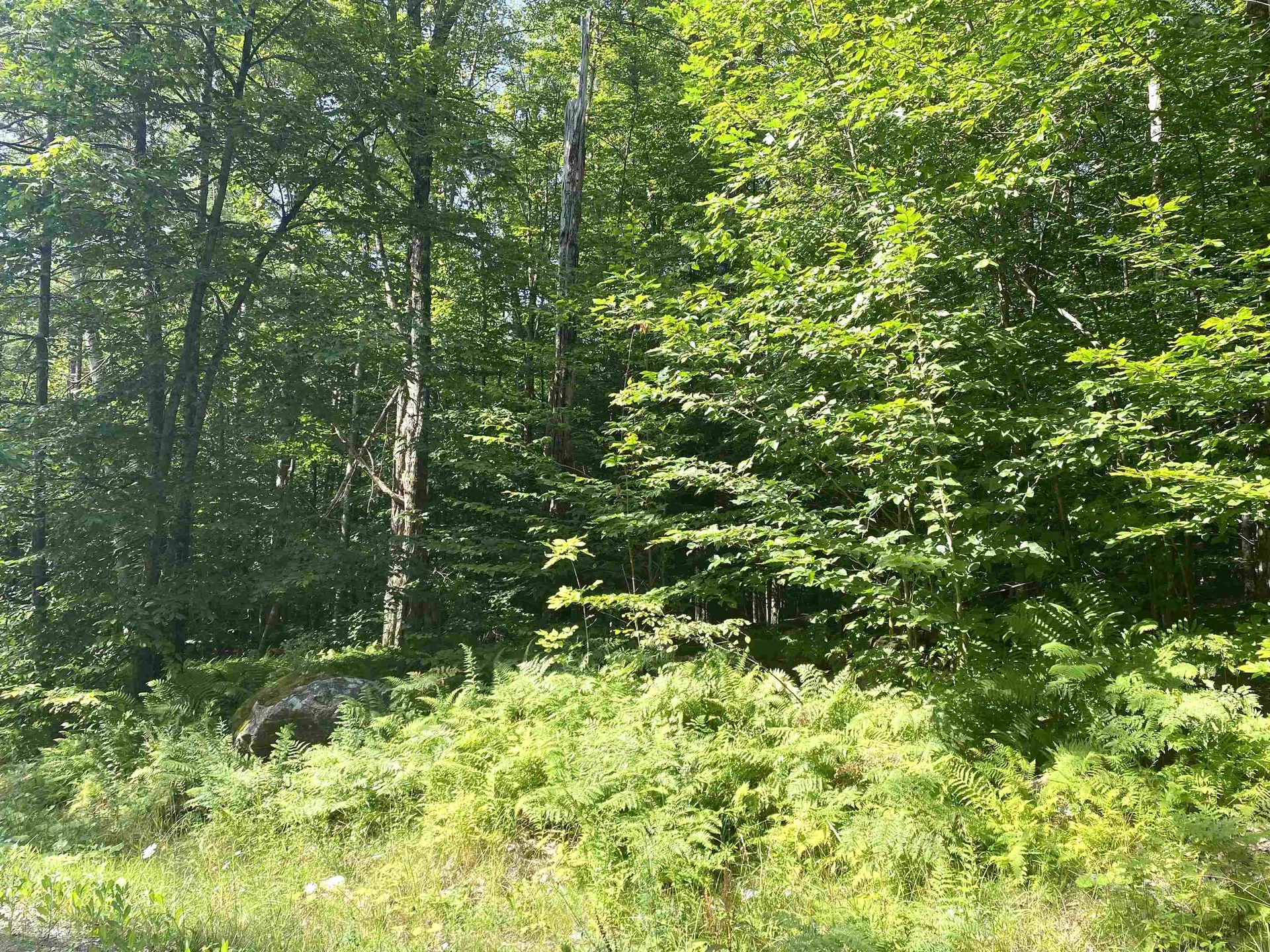 00 North Branch Road Ripton VT 05766