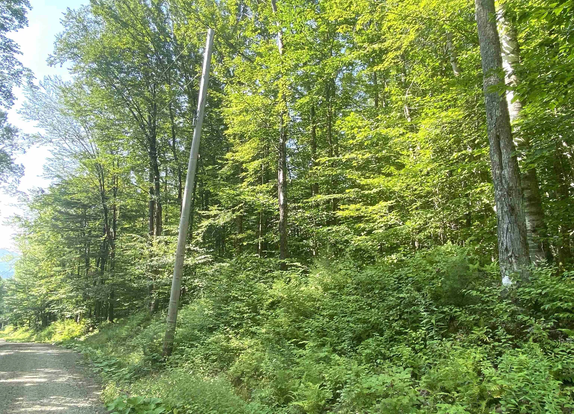00 North Branch Road Ripton VT 05766