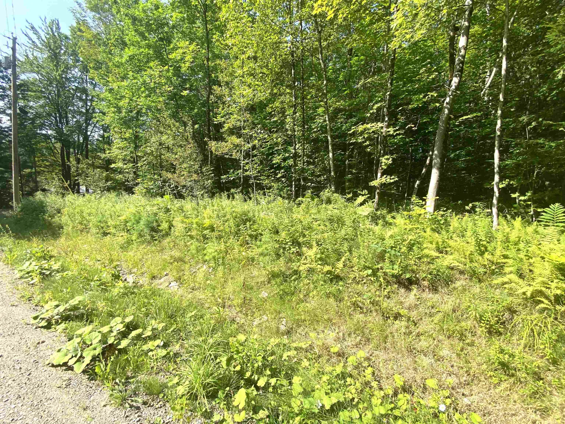 00 North Branch Road Ripton VT 05766