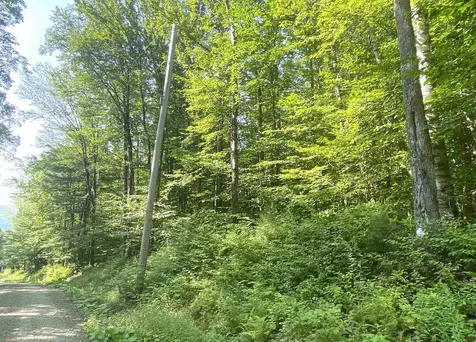 00 North Branch Road Ripton VT 05766