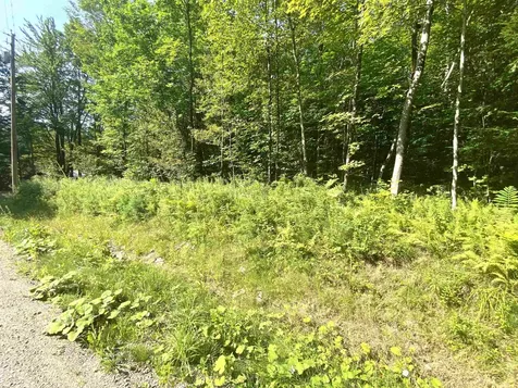 00 North Branch Road Ripton VT 05766