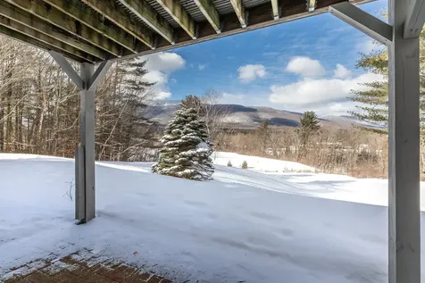 227 Kestrel Court Manchester VT 05254