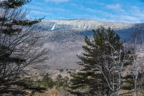 227 Kestrel Court Manchester VT 05254