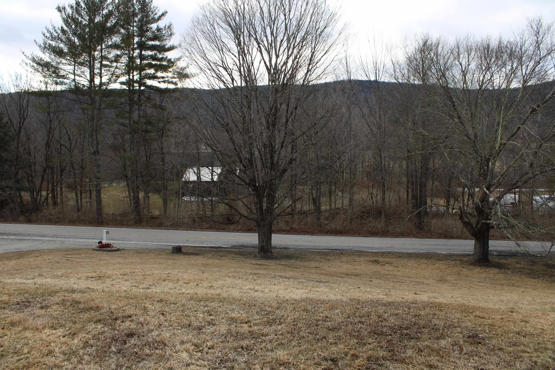 242 Clarendon Road Wallingford VT 05773