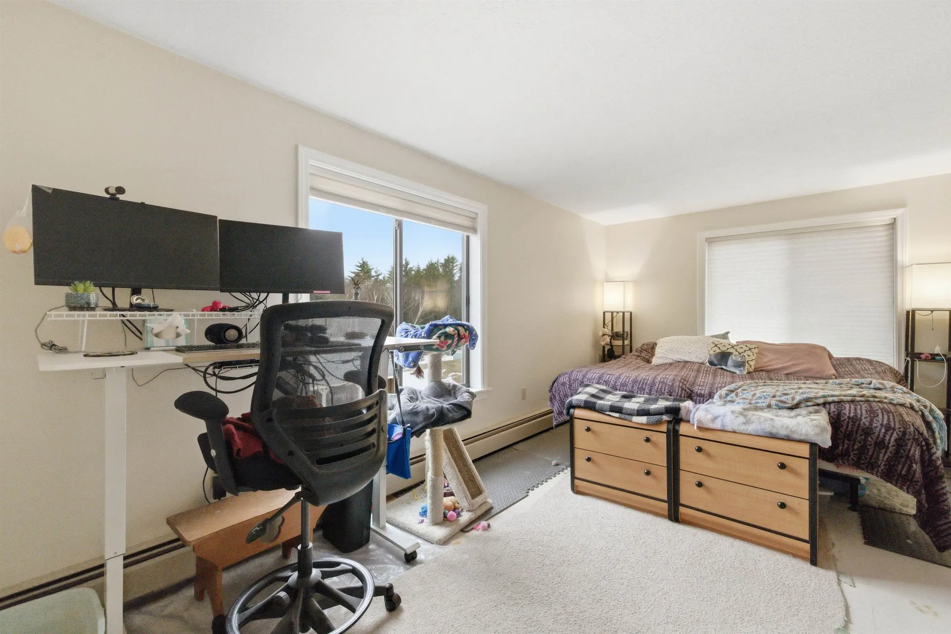19 Saco Street Conway NH 03813