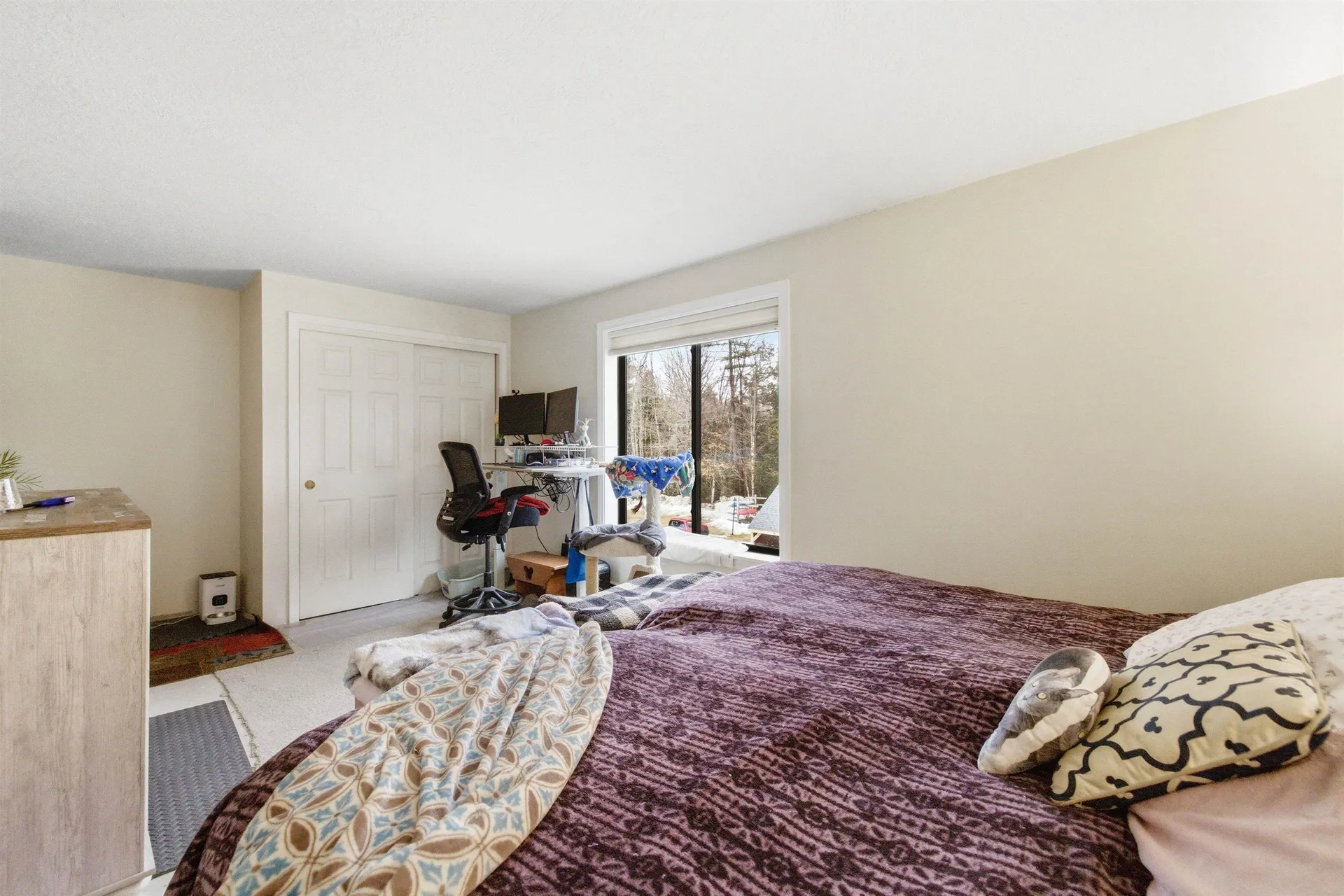 19 Saco Street Conway NH 03813