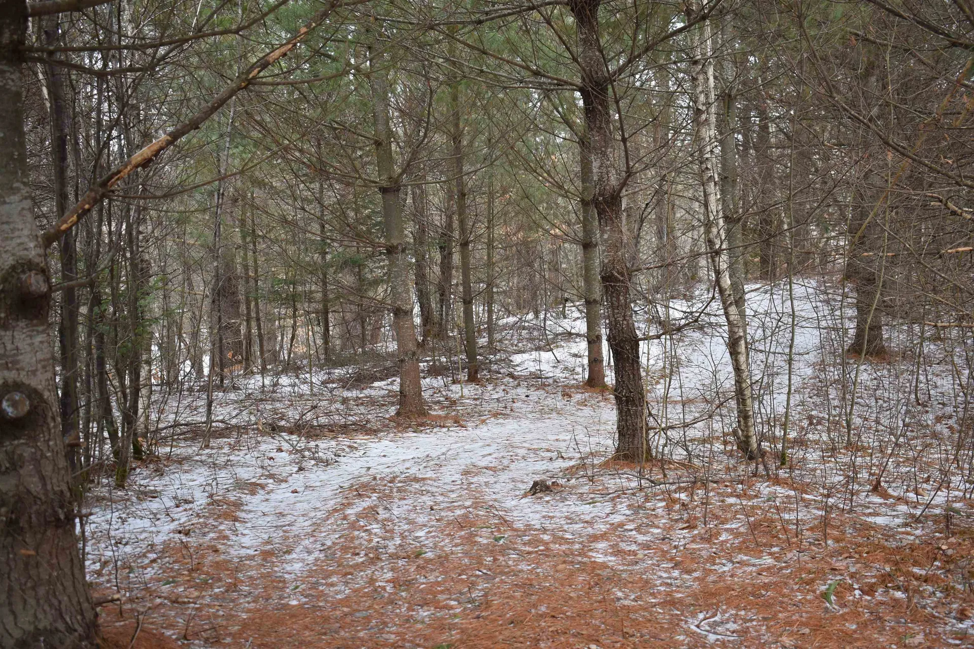 Route 58 East Lowell VT 05847