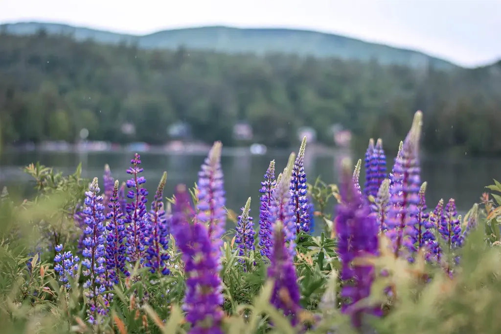 335 North Street Chester VT 05143