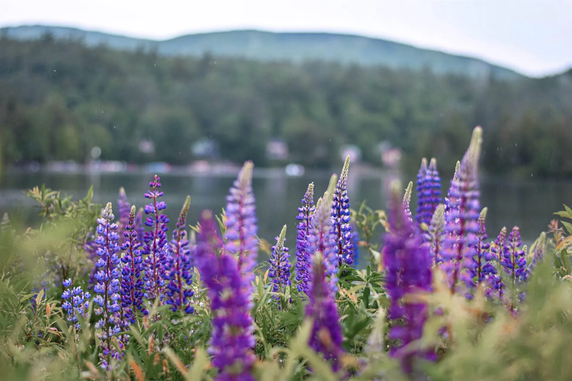 335 North Street Chester VT 05143