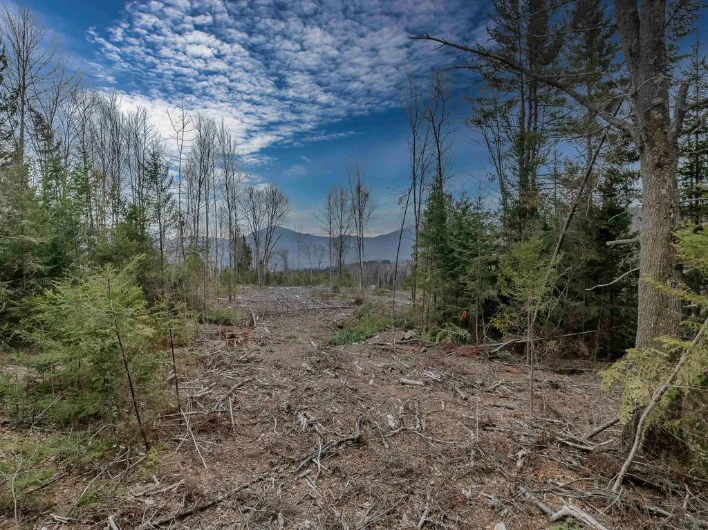 000 Ridge Road Bethlehem NH 03574