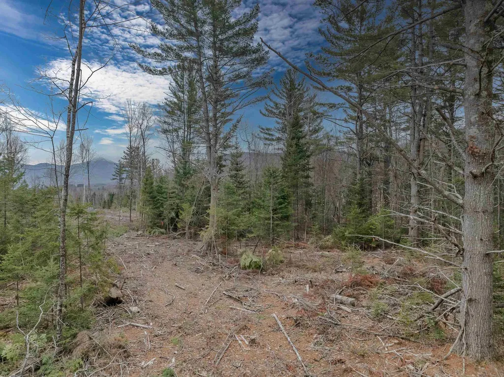 000 Ridge Road Bethlehem NH 03574