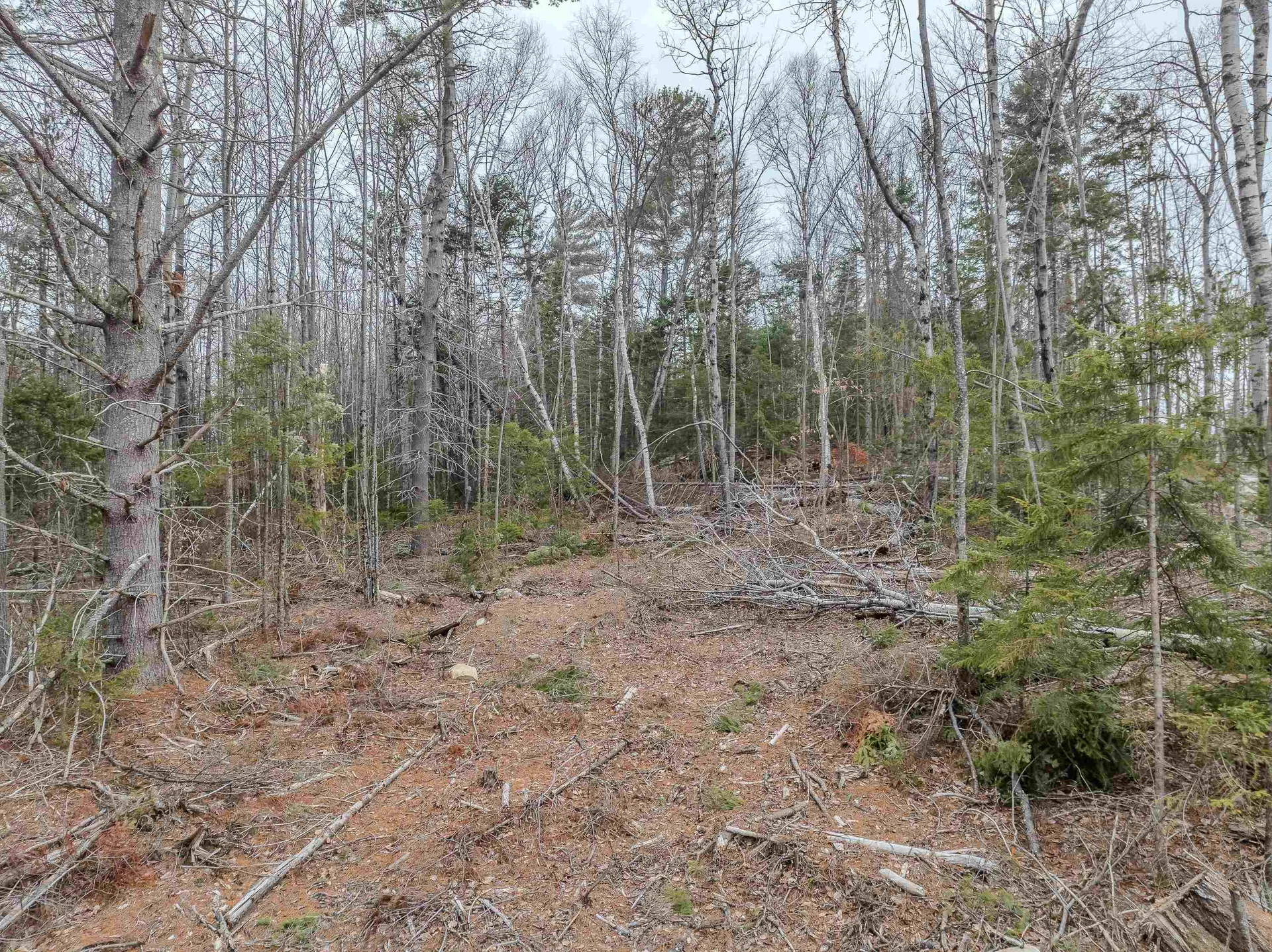 000 Ridge Road Bethlehem NH 03574