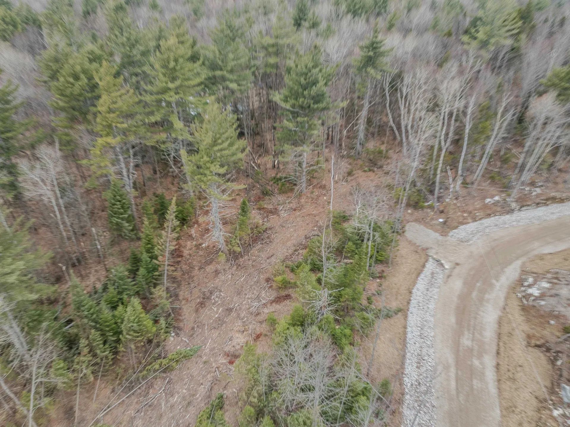 000 Ridge Road Bethlehem NH 03574