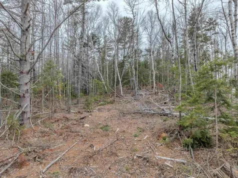 000 Ridge Road Bethlehem NH 03574