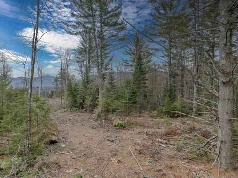 000 Ridge Road Bethlehem NH 03574