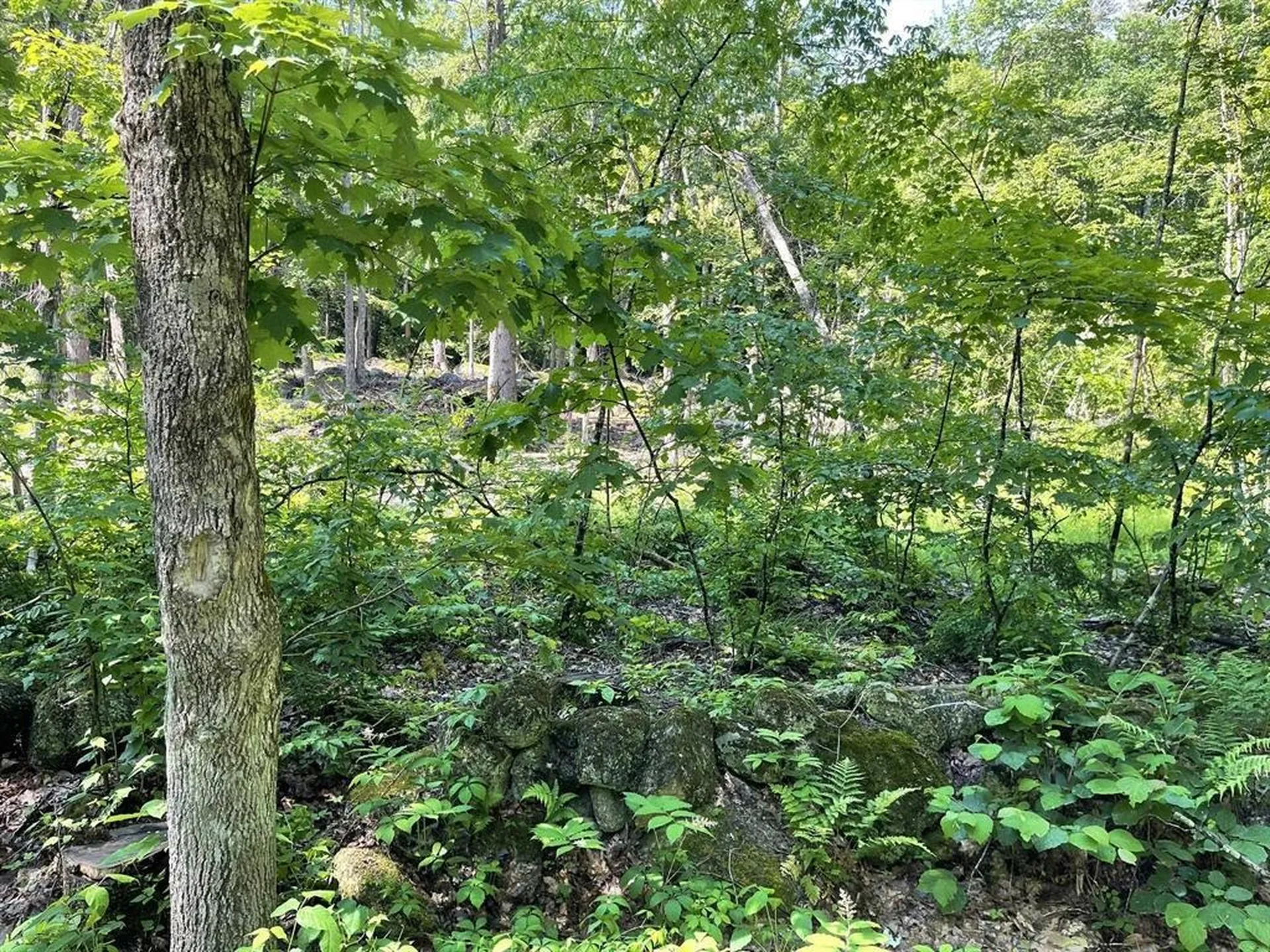 00 Beard Road Hillsborough NH 03244