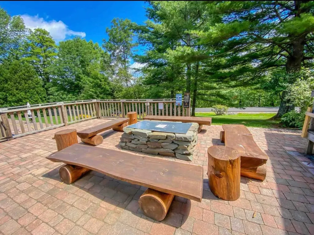 8 Black Bear Lane Dover VT 05356