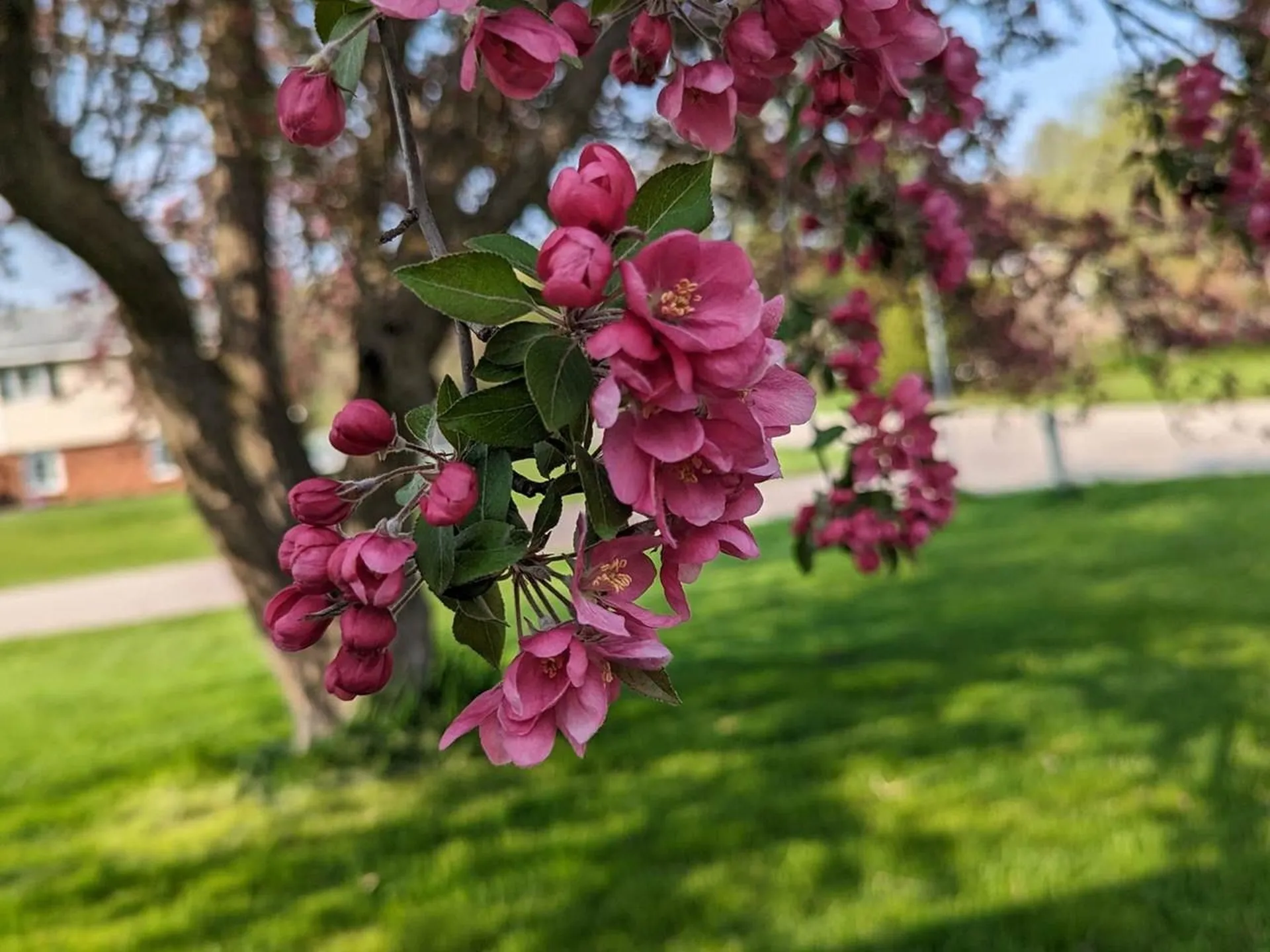 358 Belwood Avenue Colchester VT 05446