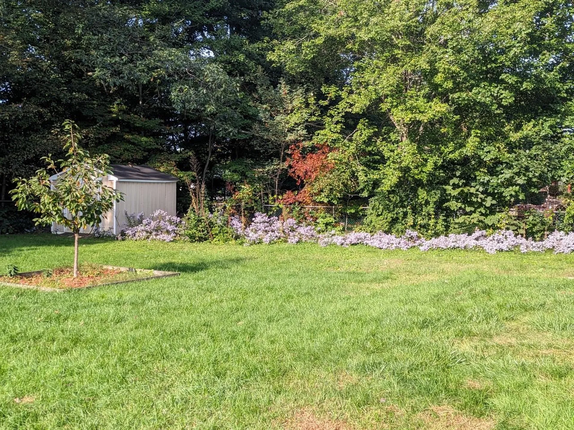 358 Belwood Avenue Colchester VT 05446