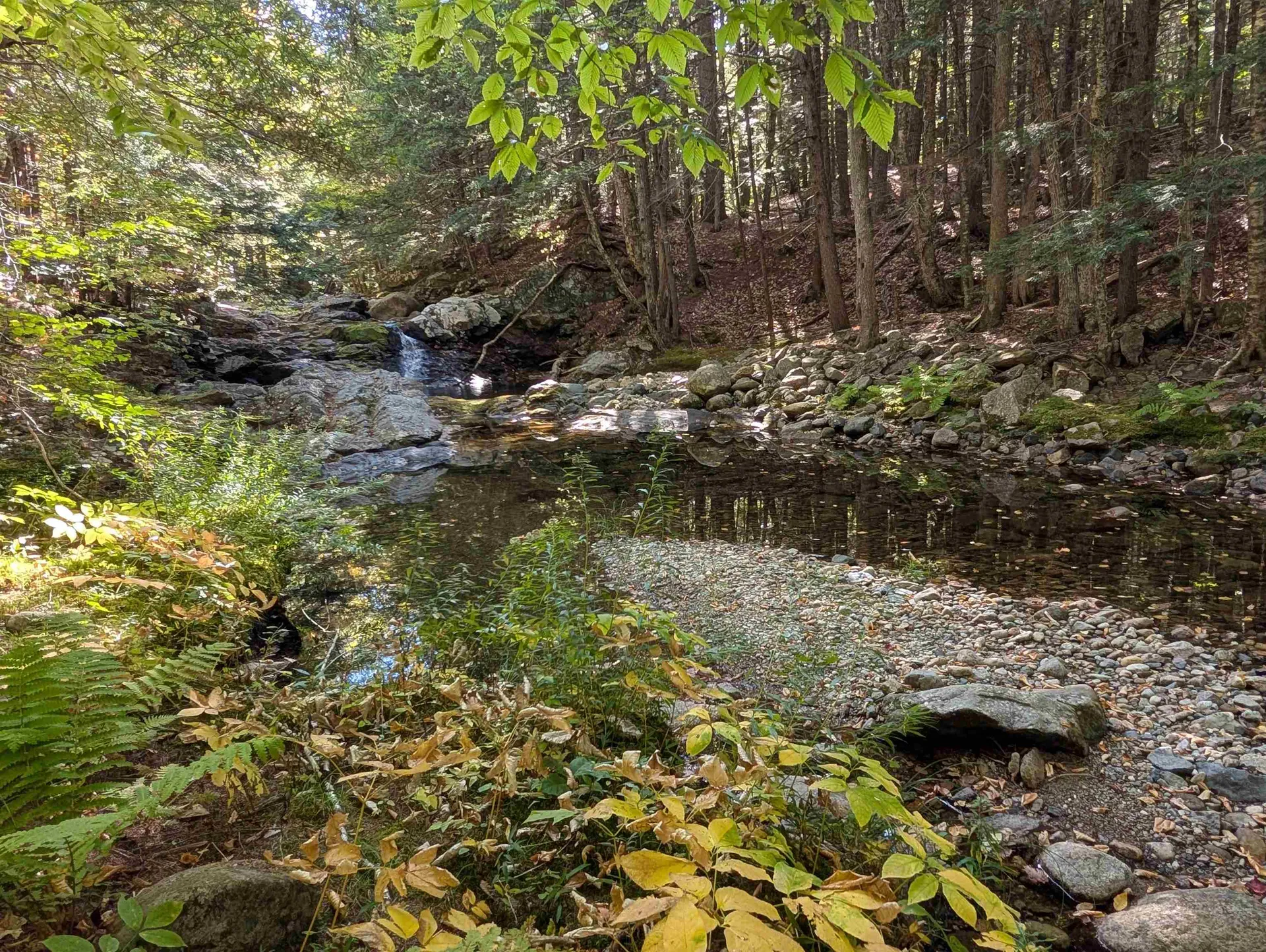829 Bearcamp Highway & 10 Mountain Road Tamworth NH 03883
