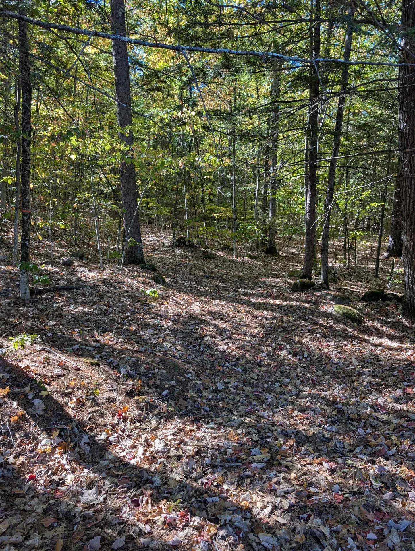 829 Bearcamp Highway & 10 Mountain Road Tamworth NH 03883