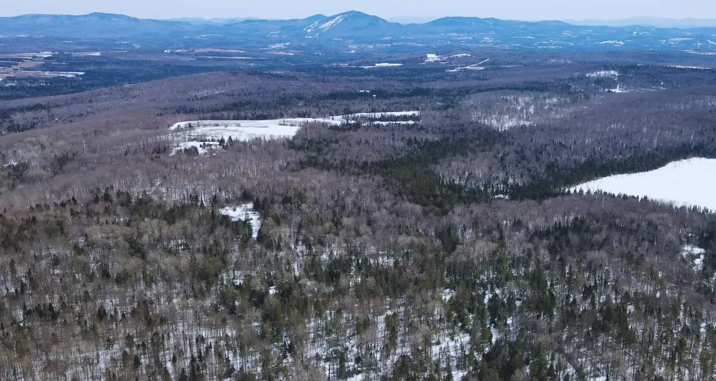 1606 Town Farm Road Sheffield VT 05866