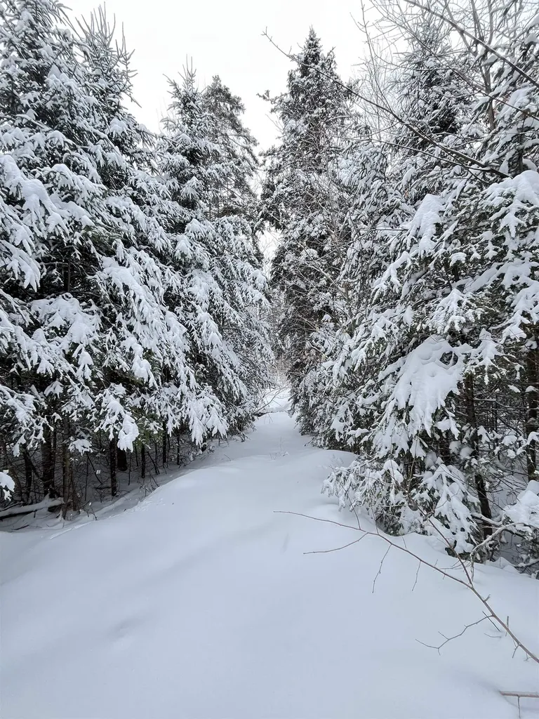1606 Town Farm Road Sheffield VT 05866