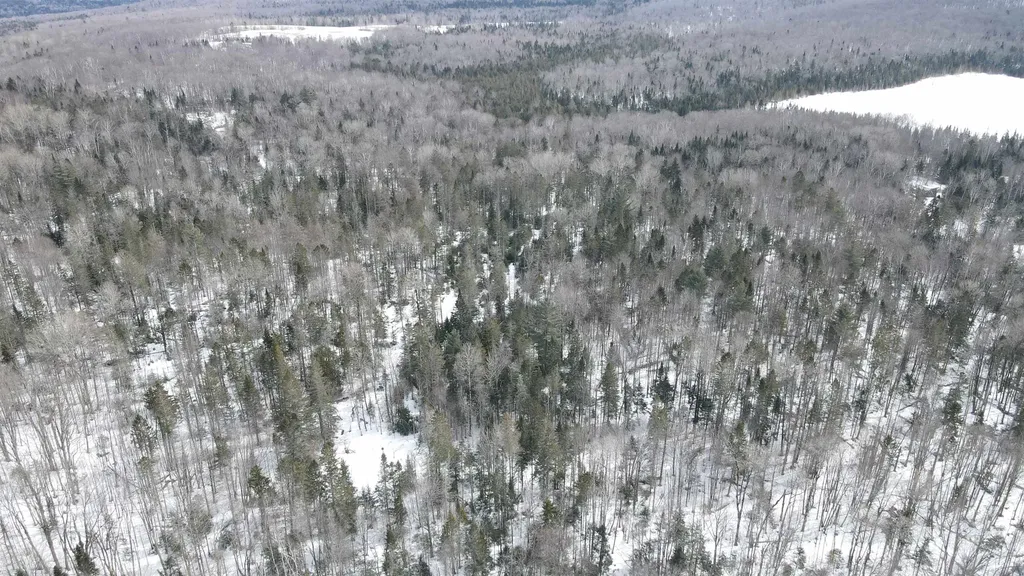 1606 Town Farm Road Sheffield VT 05866