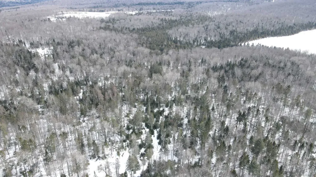1606 Town Farm Road Sheffield VT 05866