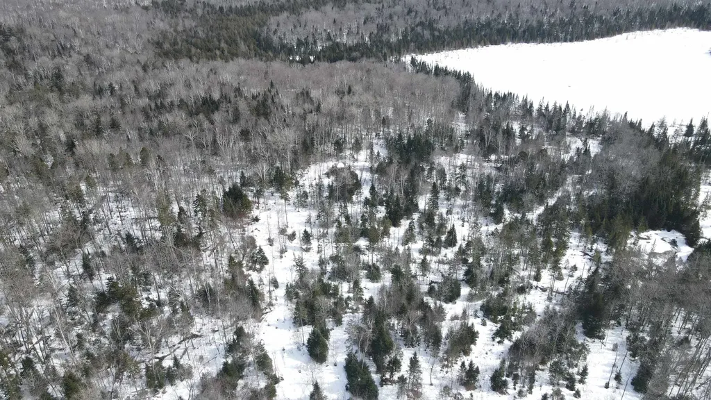 1606 Town Farm Road Sheffield VT 05866