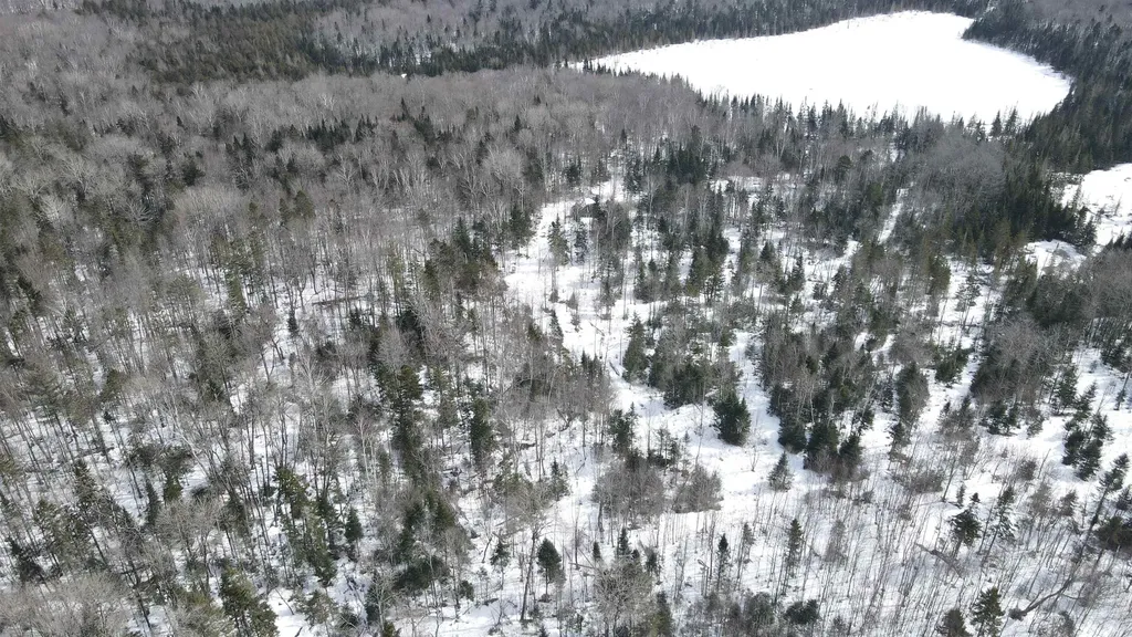 1606 Town Farm Road Sheffield VT 05866