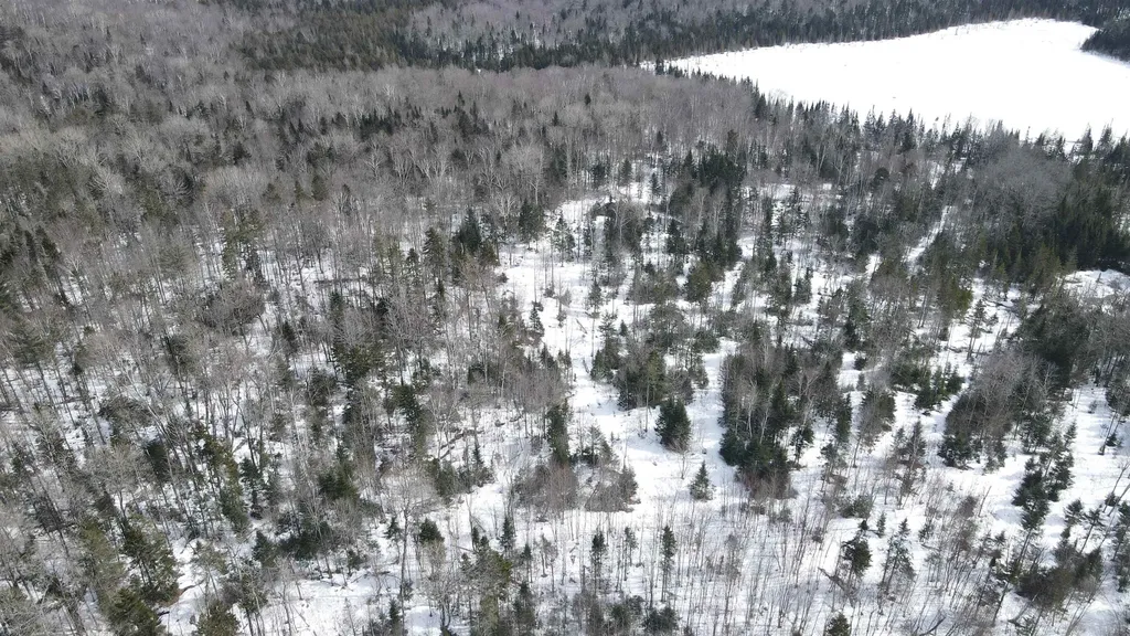 1606 Town Farm Road Sheffield VT 05866