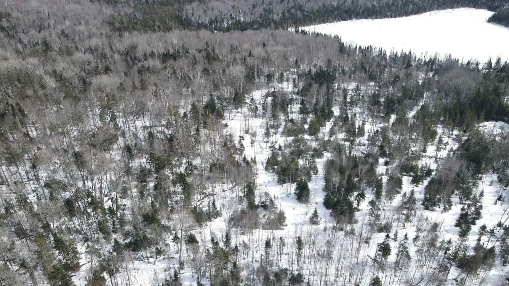 1606 Town Farm Road Sheffield VT 05866