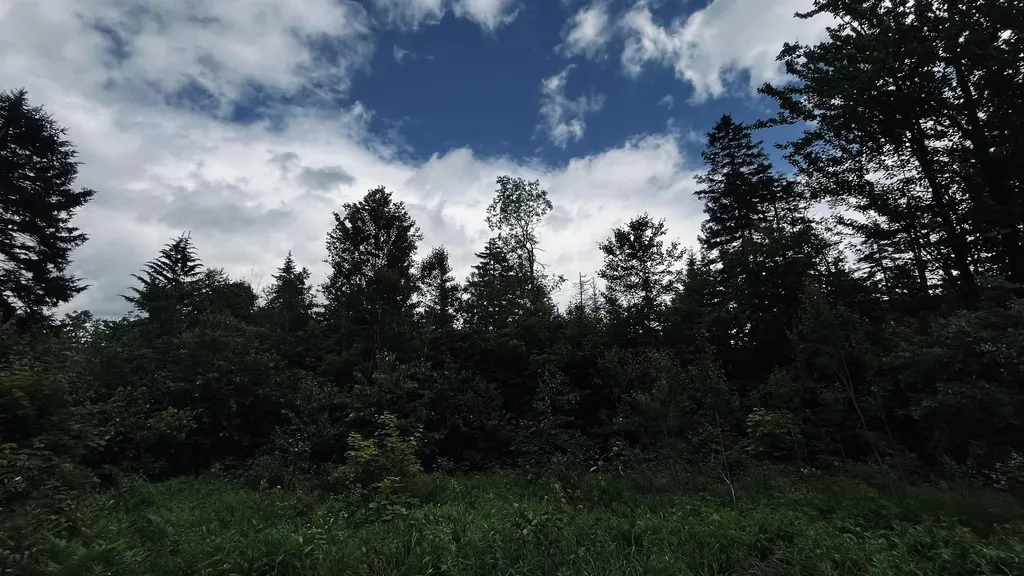 1606 Town Farm Road Sheffield VT 05866