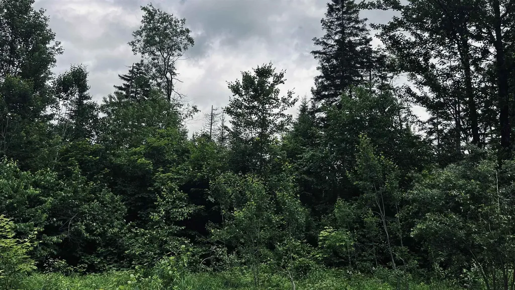 1606 Town Farm Road Sheffield VT 05866