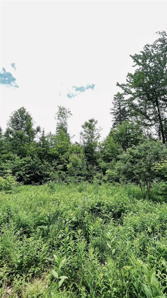 1606 Town Farm Road Sheffield VT 05866