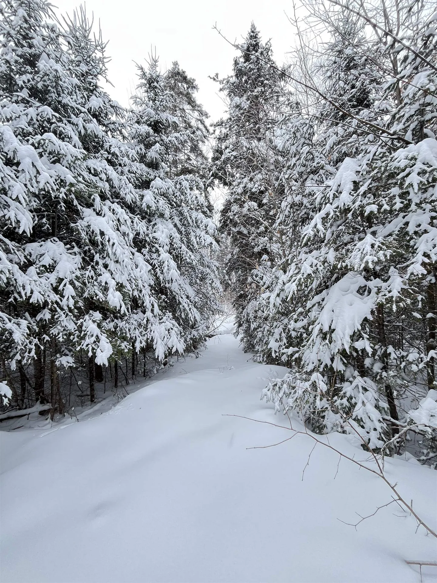 1606 Town Farm Road Sheffield VT 05866