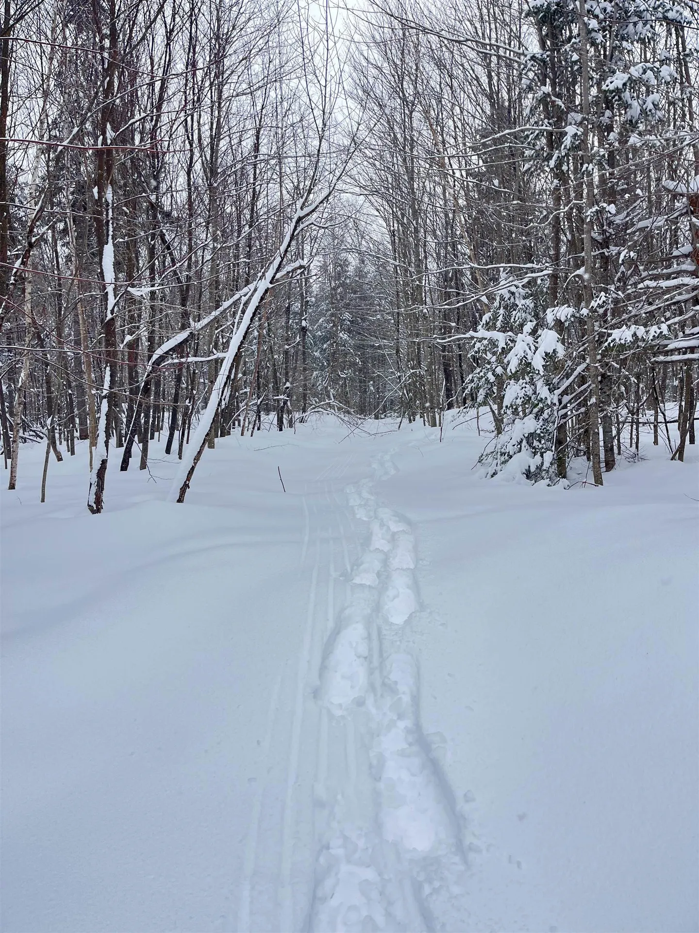 1606 Town Farm Road Sheffield VT 05866