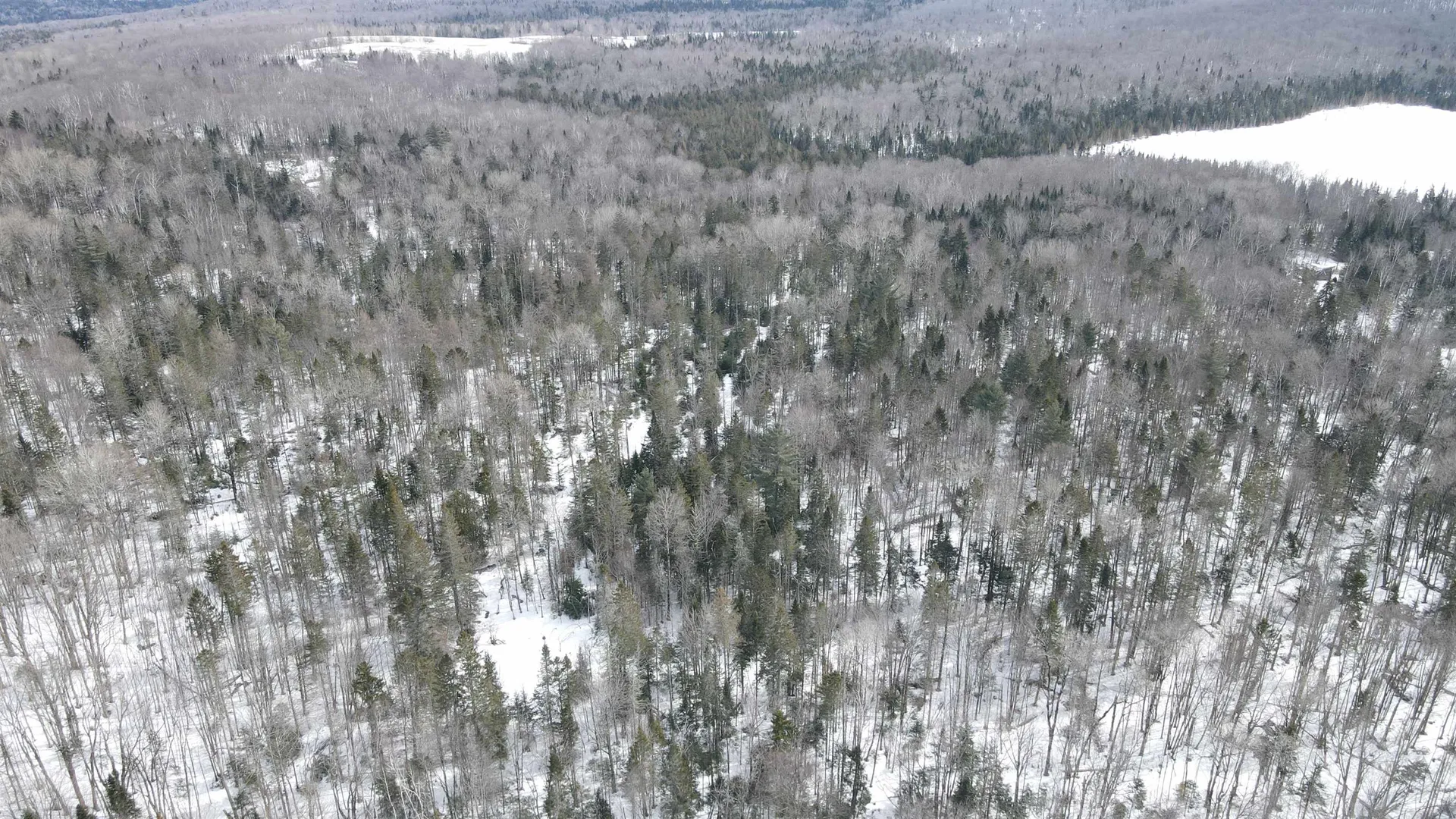 1606 Town Farm Road Sheffield VT 05866