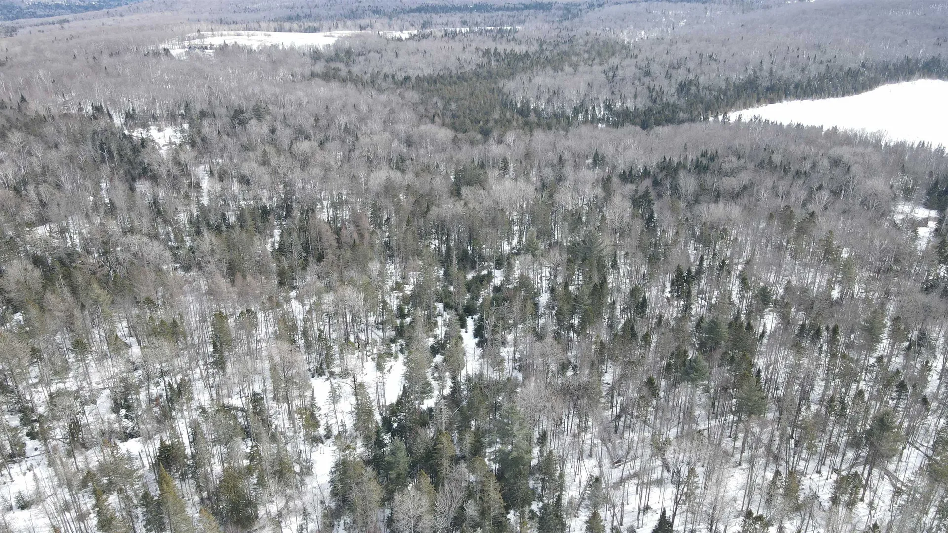 1606 Town Farm Road Sheffield VT 05866