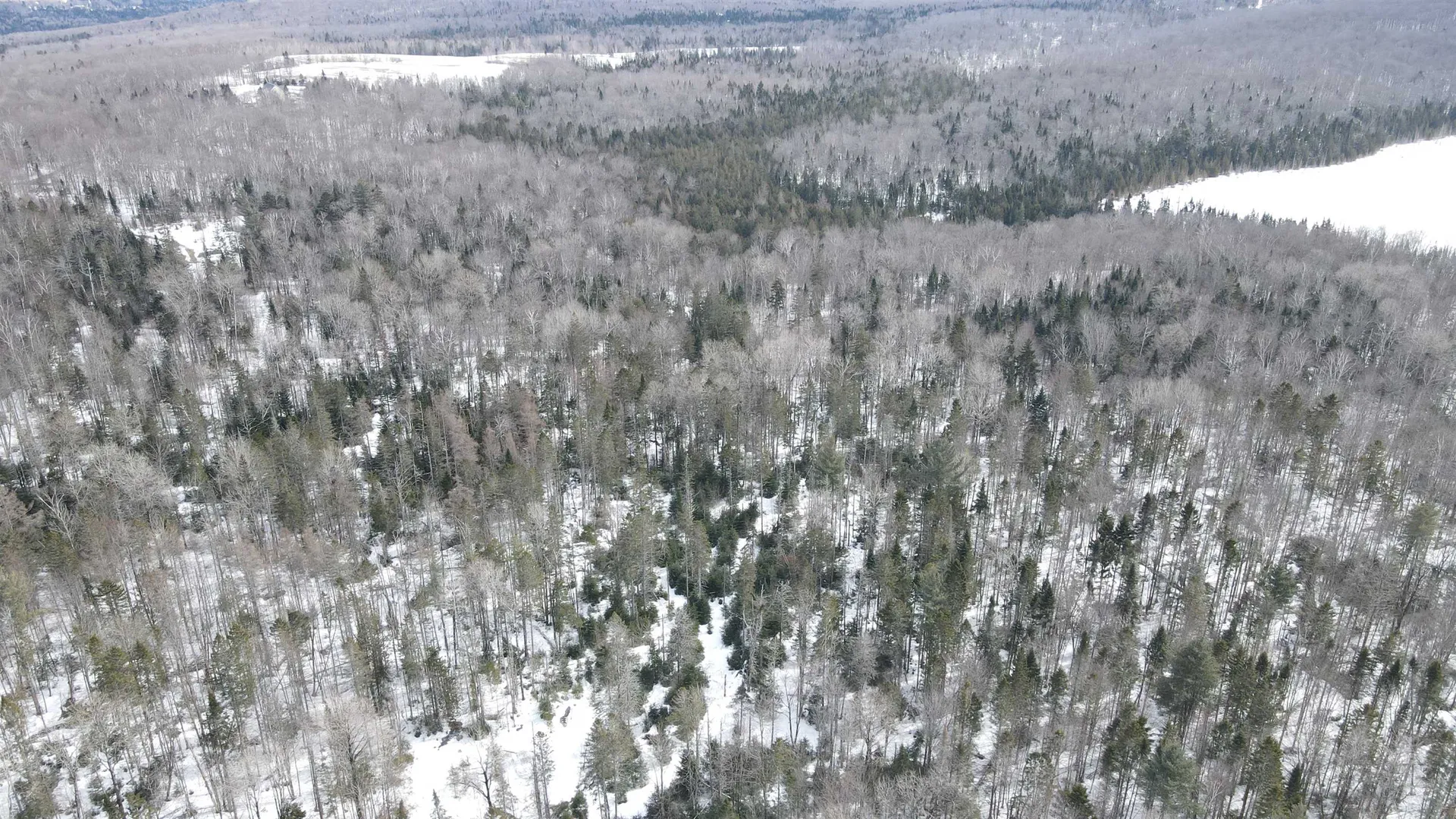 1606 Town Farm Road Sheffield VT 05866