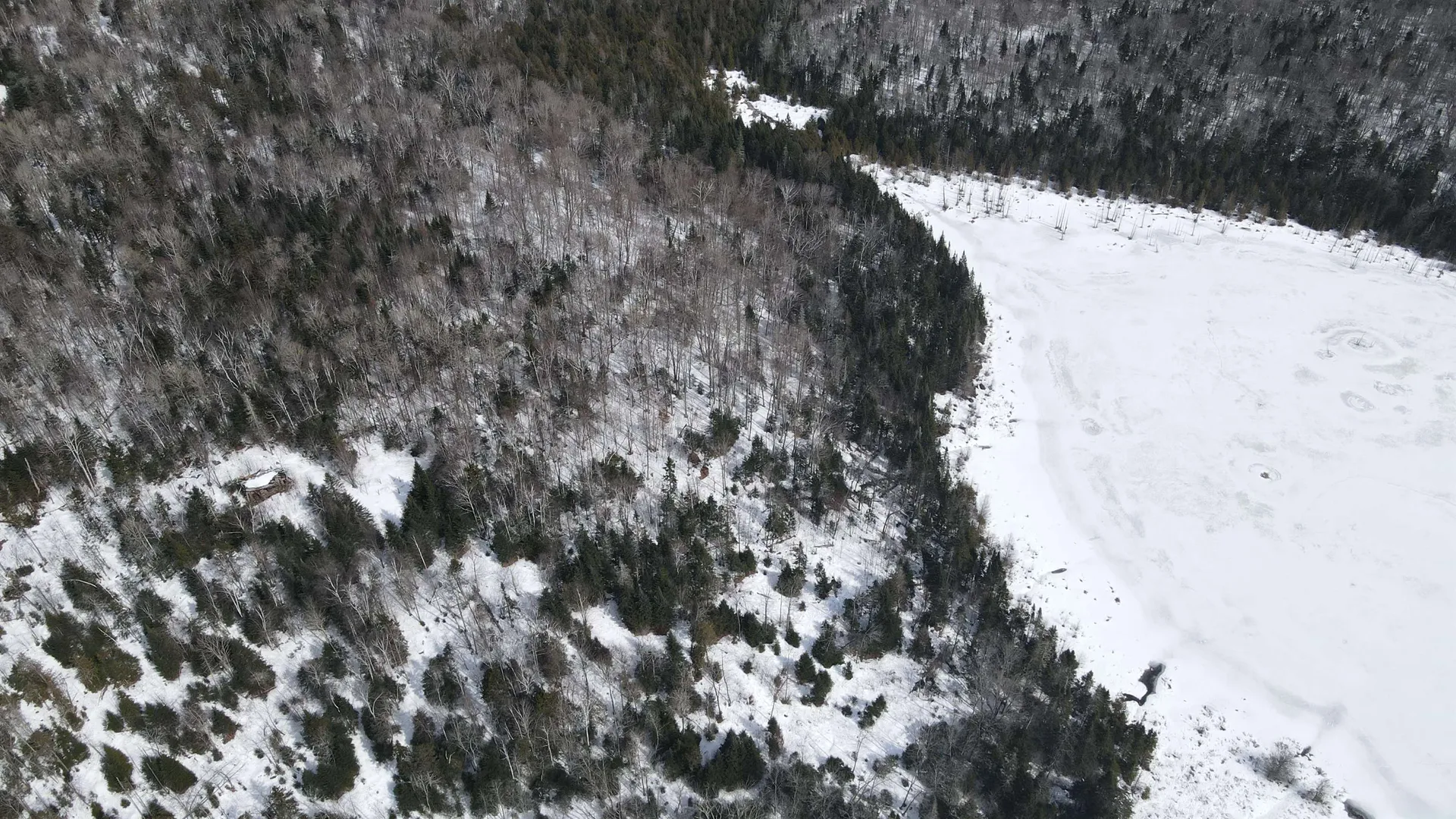 1606 Town Farm Road Sheffield VT 05866