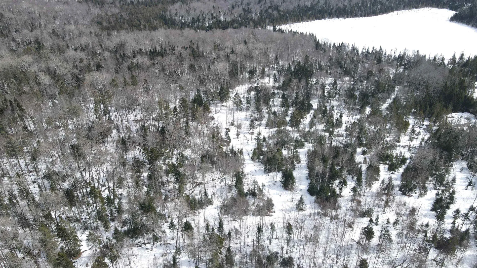 1606 Town Farm Road Sheffield VT 05866