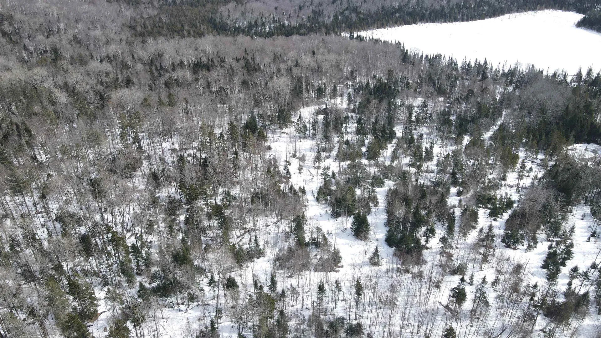 1606 Town Farm Road Sheffield VT 05866