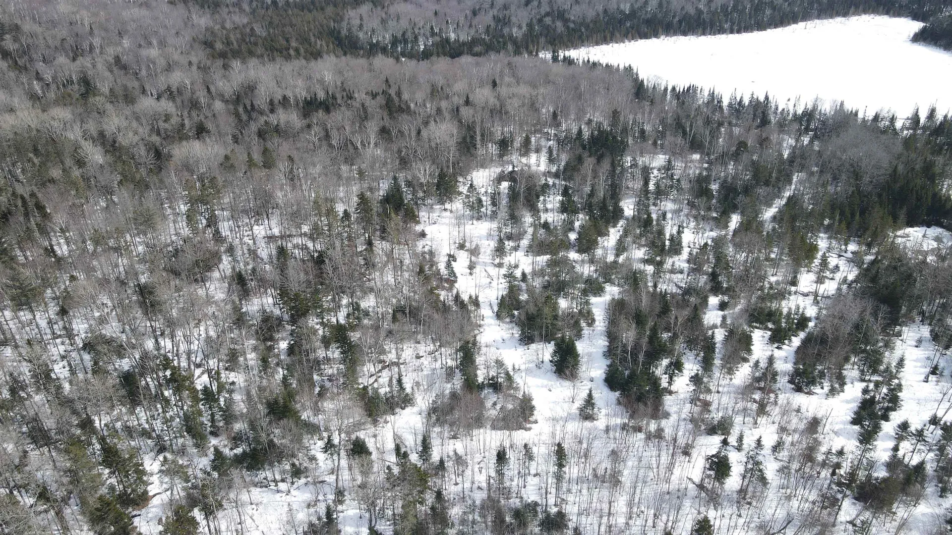 1606 Town Farm Road Sheffield VT 05866