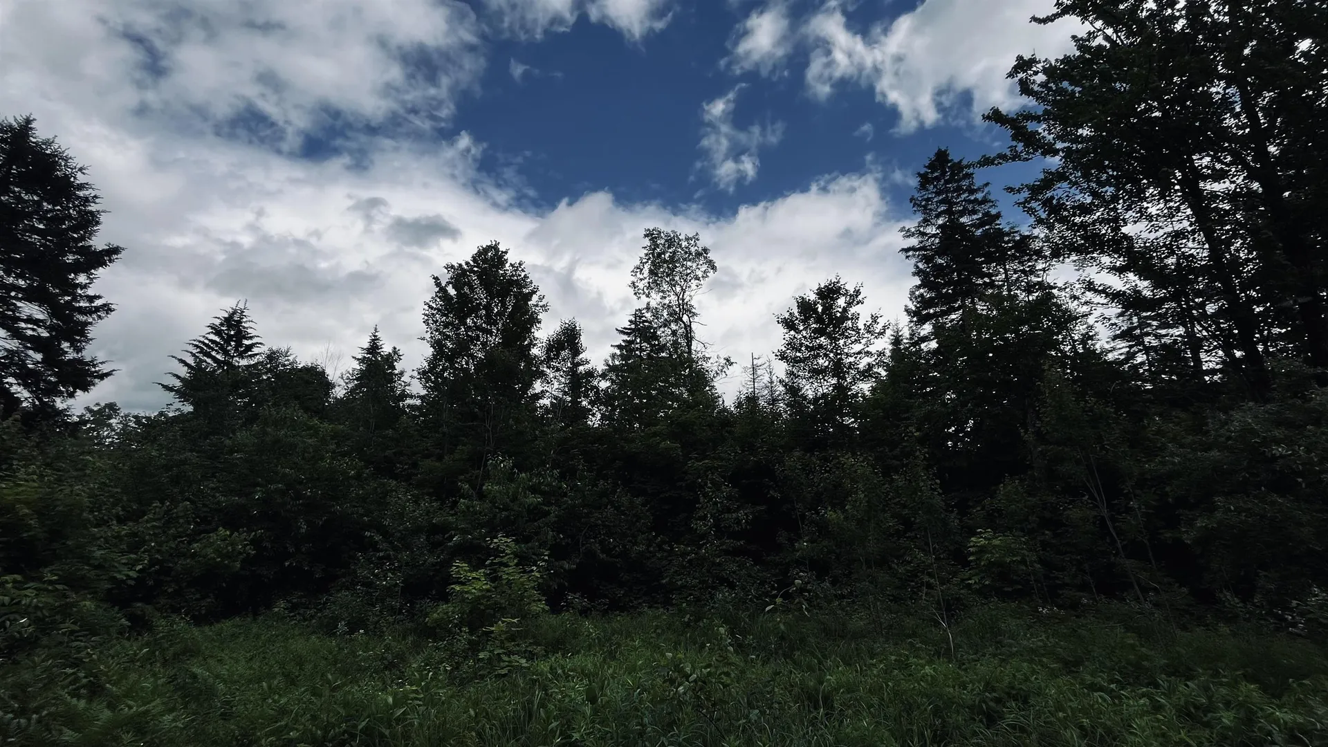 1606 Town Farm Road Sheffield VT 05866