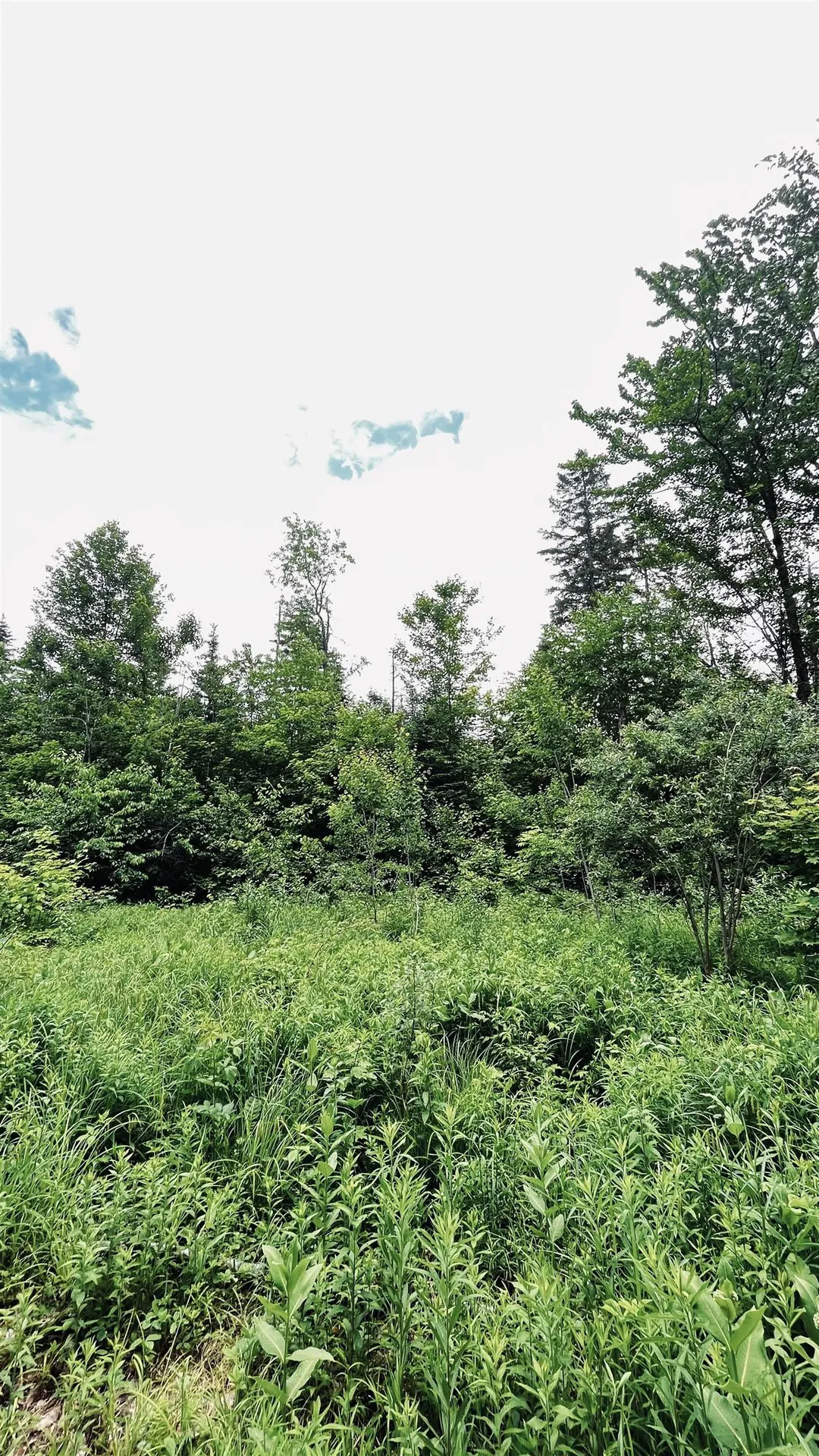 1606 Town Farm Road Sheffield VT 05866
