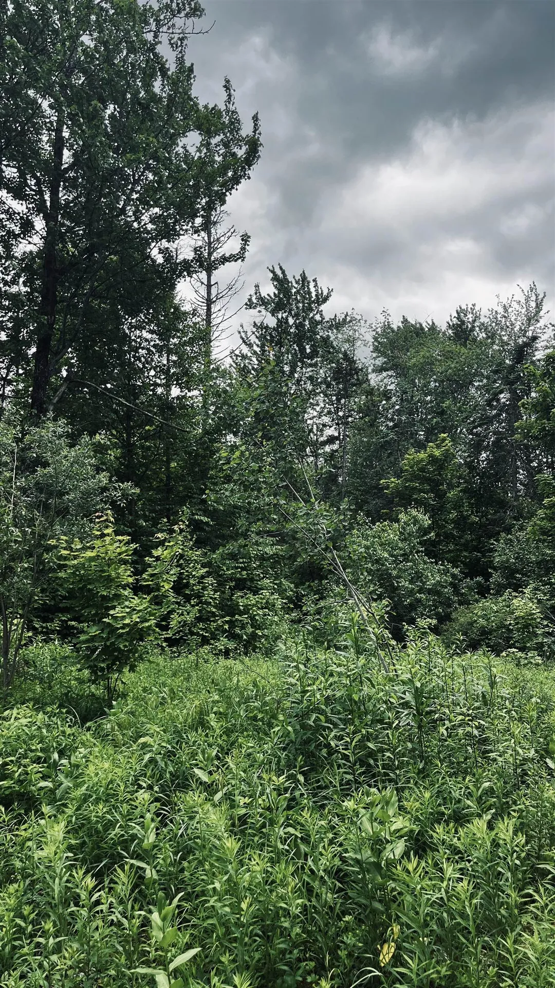 1606 Town Farm Road Sheffield VT 05866