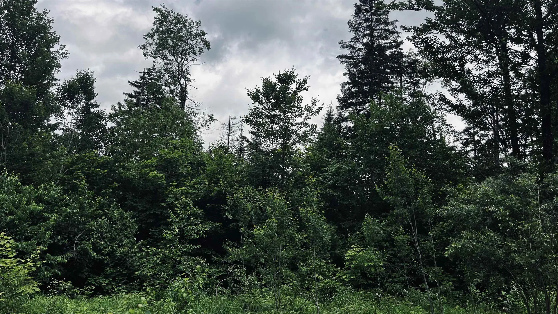1606 Town Farm Road Sheffield VT 05866